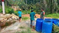 FB_IMG_1790160706011SdG7G3t