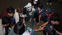 Semarak-Malam-BRILiaN-Culture-Festival-Pekerja-BRI-Region-6-Ikuti-Games-untuk-Perkuat-Teamwork-dan-Collaboration
